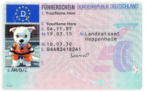 Switzerland Driver's License