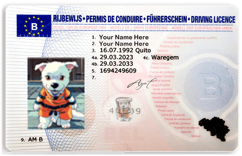 France Driver's License